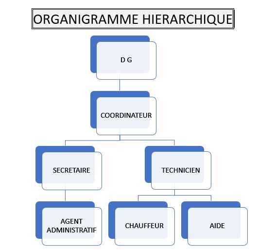 Organigramme hiérarchique du CETIG